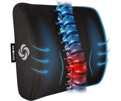 Lumbar Support Pillow for Office Chair and Car Seat